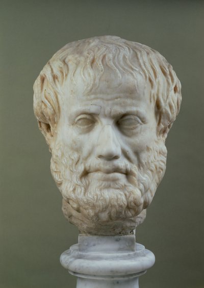 Marble Head of Aristotle by Unbekannt Unbekannt